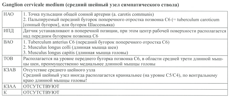 Ganglion cervicale medium (средний шейный узел симпатического ствола)