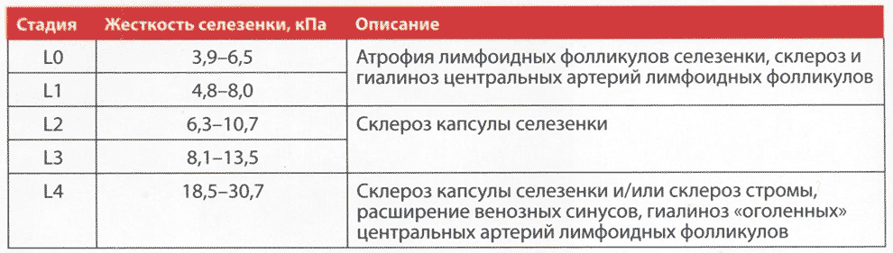 Таблица 3.2. Значения жесткости селезенки в соответствии со стадией фиброза селезенки