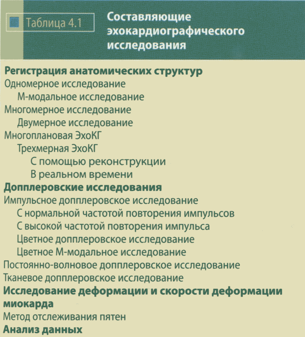 Составляющие эхокардиографического исследования Составляющие эхокардиографического исследования