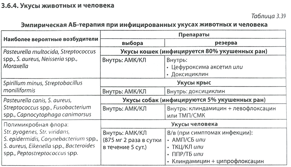 Антибактериальная терапия