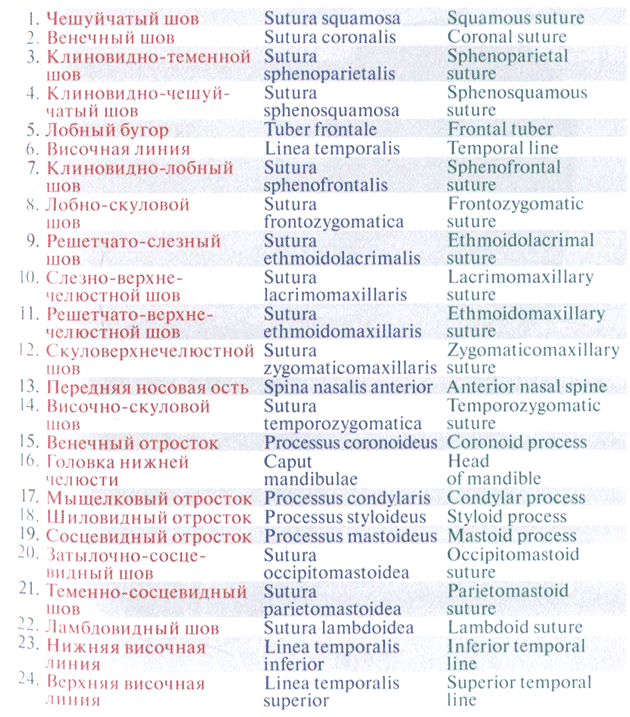Чешуйчатый шов