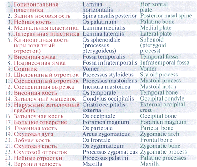 Горизонтальная пластинка