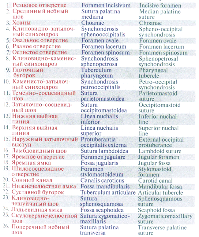 Резцовое отверстие