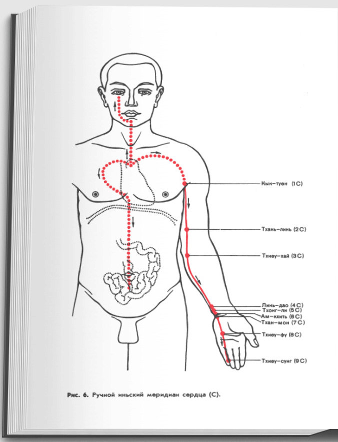 Пример страницы "Иглоукалывание. (Чжень-цзю-терапия, точки акупунктуры, техника иглоукалывания и прижигания, другие методы воздействия на акупунктурные точки, патология и терапия)" - Хоанг Бао Тяу, Ла Куанг Ниеп