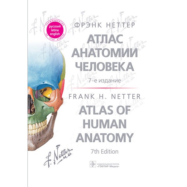 Купить книгу "Атлас анатомии человека 7-е издание" - Неттер Франк со скидкой