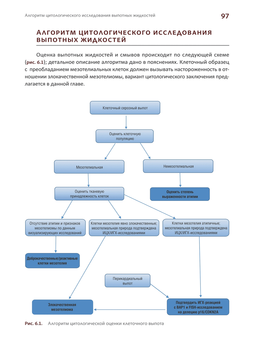 Алгоритм цитологической оценки клеточного выпота