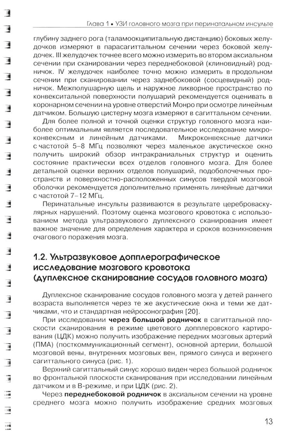 Пример страницы из книги «Ультразвуковая диагностика перинатального инсульта» - Ю. К. Быкова, К. В. Ватолин, Л. В. Ушакова, Е. А. Филиппова, М. И. Пыков
