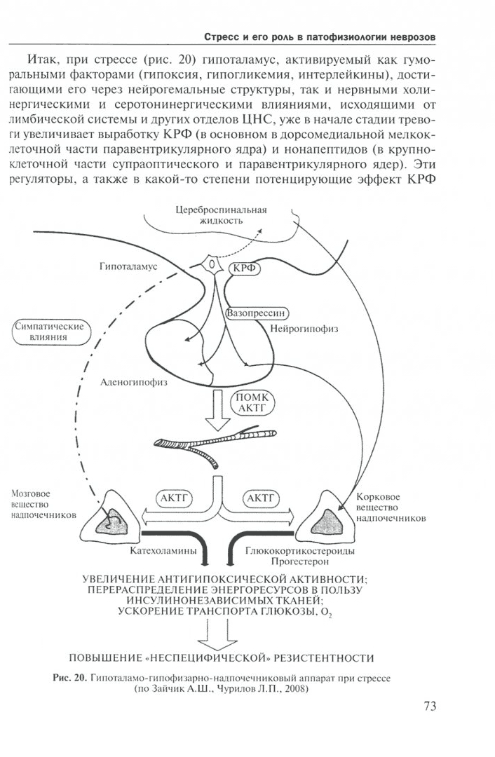 Пример страницы из книги "Неврозы и стресс" - Фесенко Ю. А.