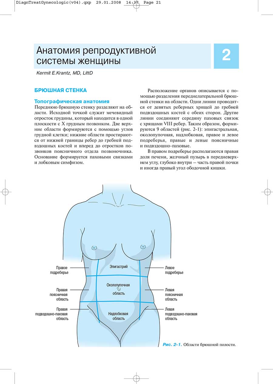 Анатомия репродуктивной системы женщины