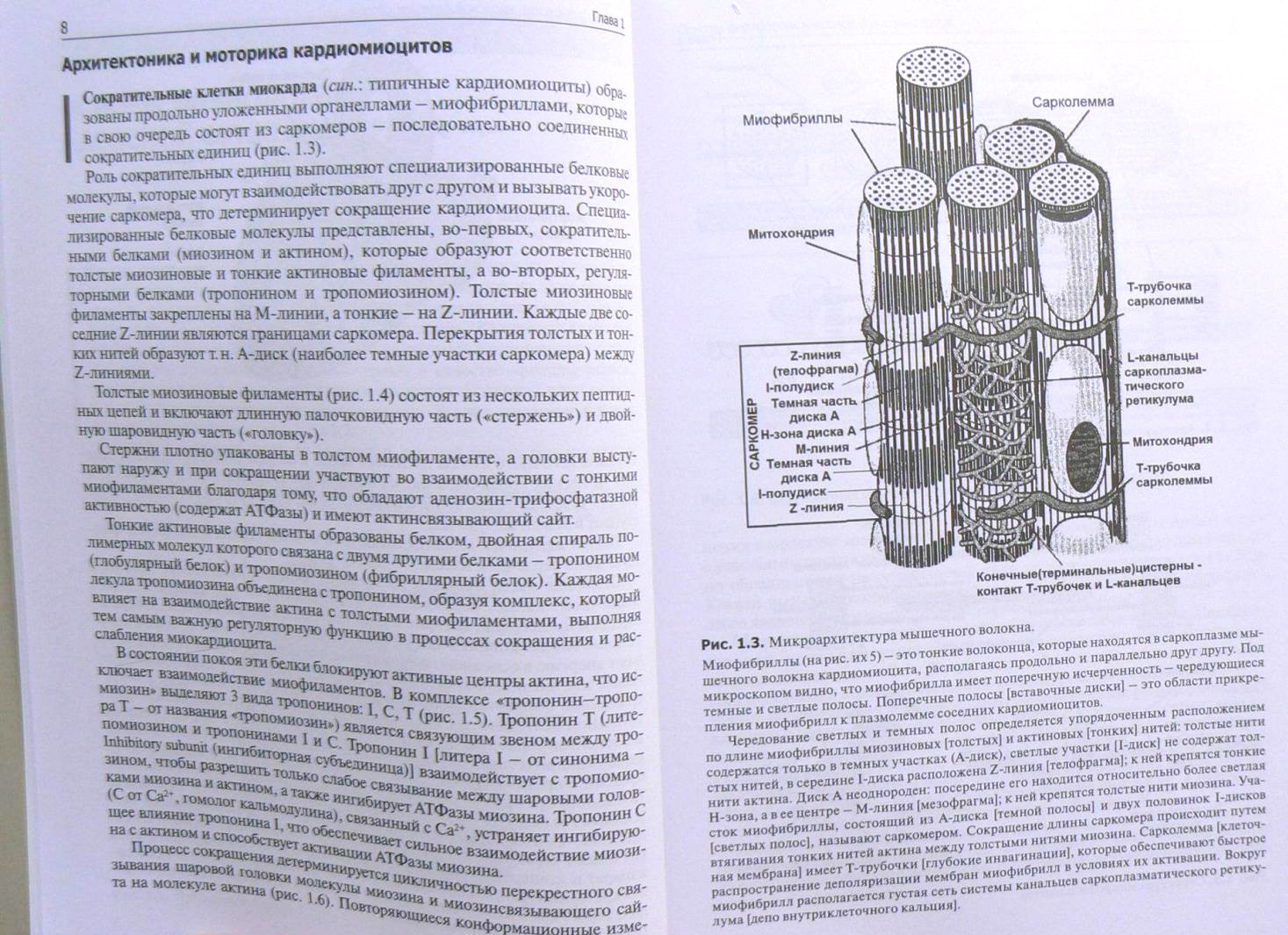 Пример страницы из книги "Патофизиология сердца и сосудов" - Войнов В. А.