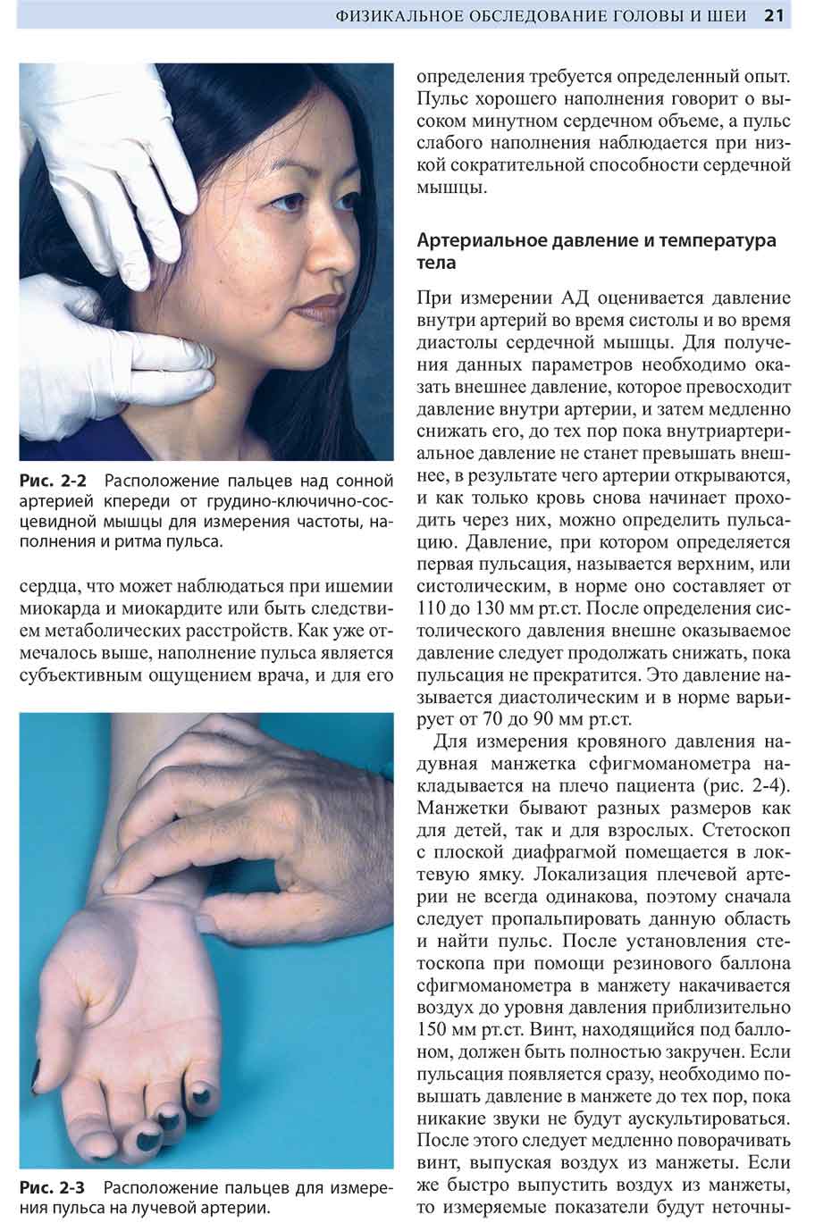 Рис. 2-3 Расположение пальцев для измерения пульса на лучевой артерии.