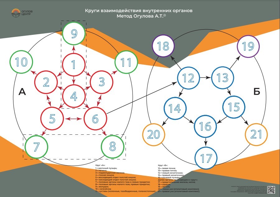Плакаты Огулова. "Круги взаимодействия". Бумажные плакаты А2, А3