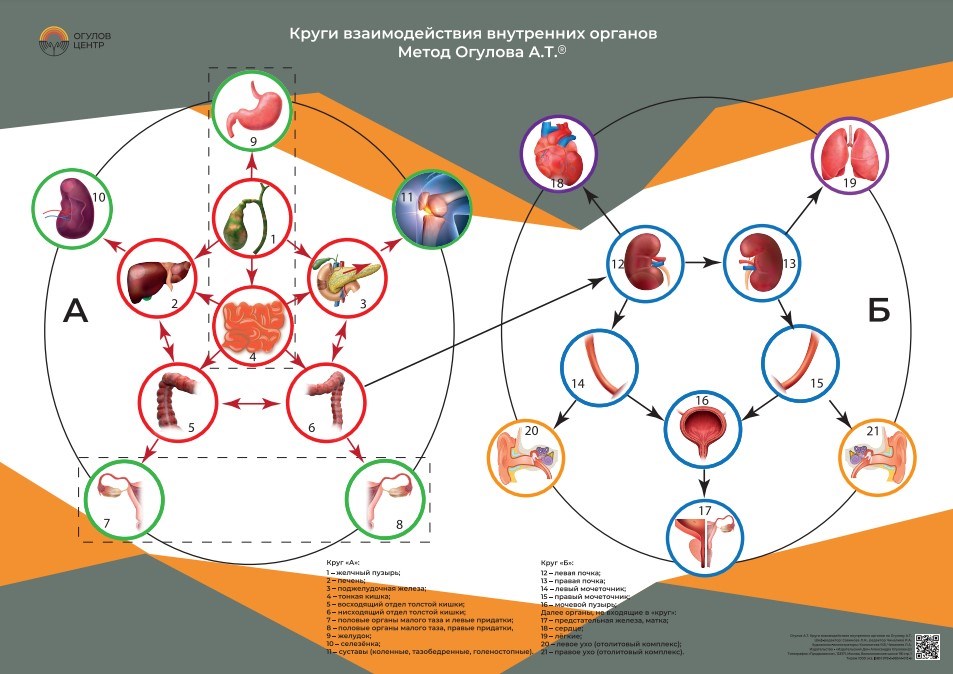 Плакаты Огулова. "Круги взаимодействия". Бумажные плакаты А2, А3