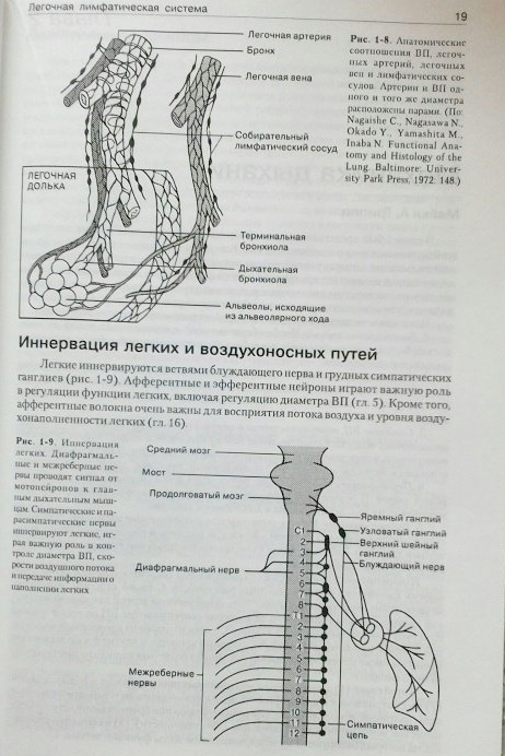 Пример страницы из книги "Патофизиология лёгких" - Гриппи М. А.