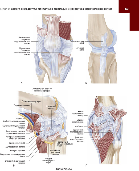 Хирургические доступы, используемые при тотальном эндопротезировании коленного сустава