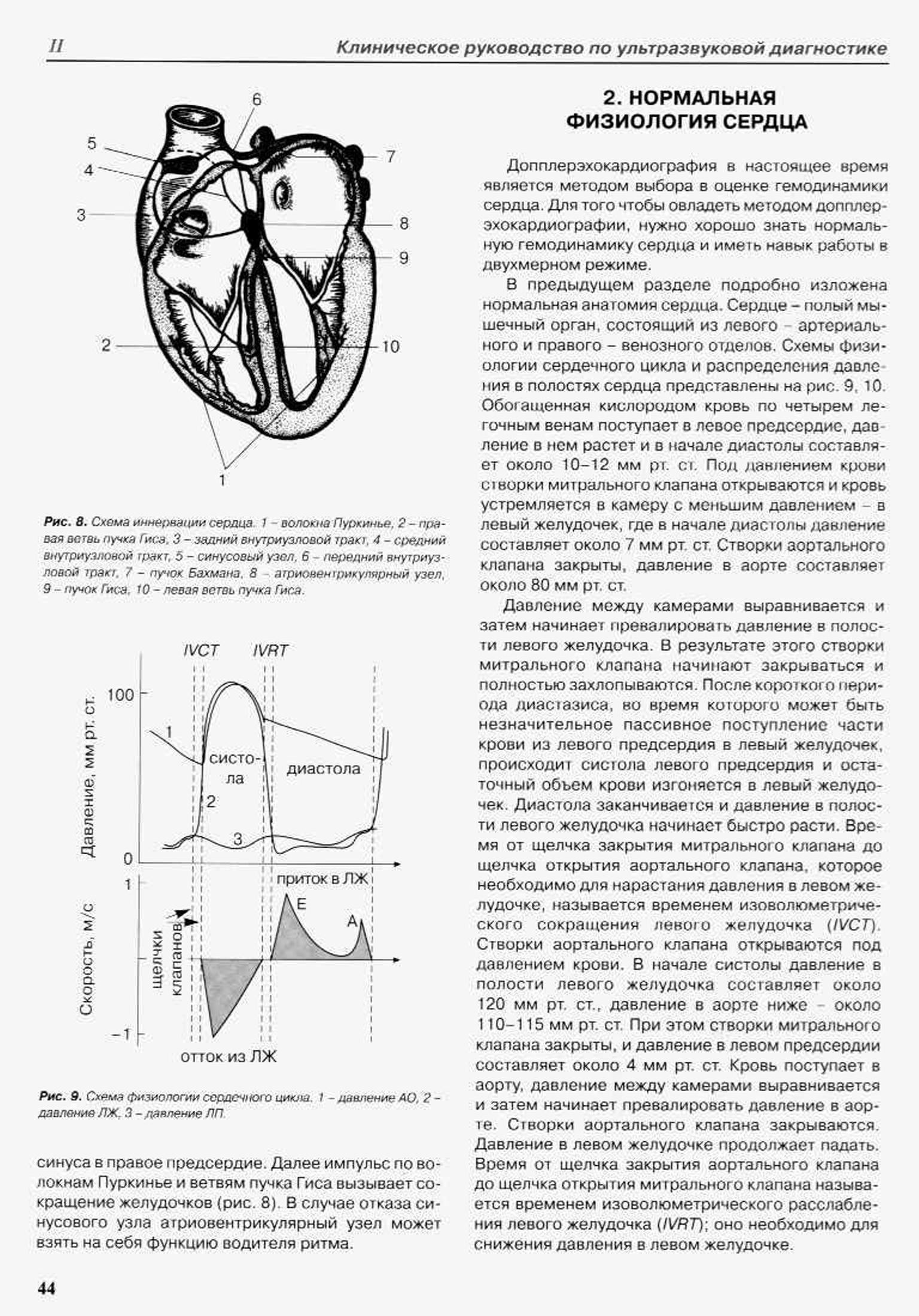 Схема физиологии сердечного цикла 