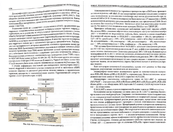 Пример страницы из книги  "Федеральное руководство по гематологии". Том 2 - С. С. Бессмельцева, С. В. Сидоркевича