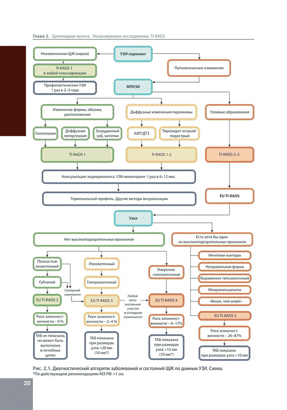 УЗИ. Диагностические алгоритмы