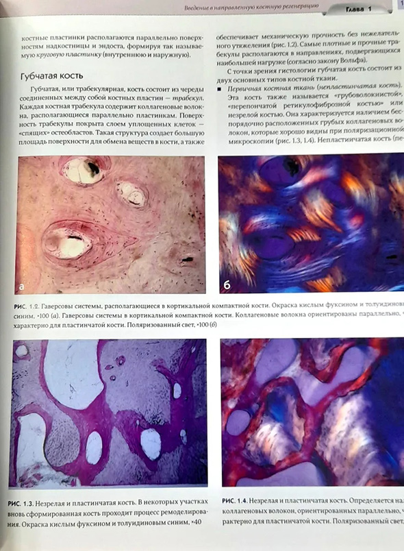 Пример страницы из книги "Регенеративные технологии в стоматологии. Научно-практическое руководство" - Барон Антонио Пример страницы из книги "Регенеративные технологии в стоматологии. Научно-практическое руководство" - Барон Антонио