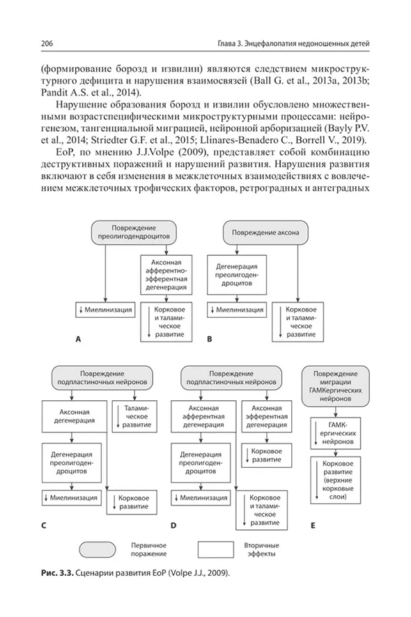 Сценарии развития ЕоР 