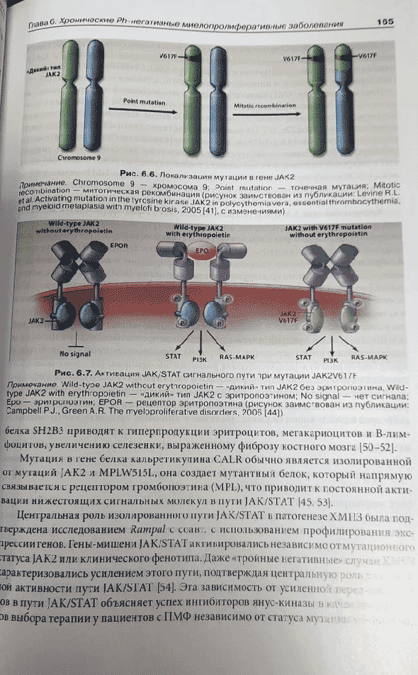 Пример страницы из книги  "Федеральное руководство по гематологии". Том 2 - С. С. Бессмельцева, С. В. Сидоркевича