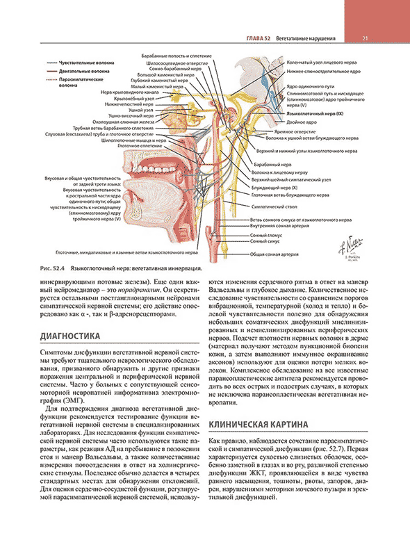 Пример страницы из книги "Неврология по Неттеру" Том 3 - Джаяшри Шринивасан, Клаудия ДЖ. Чавес, Брайан ДЖ. Скотт, Хуан Э. Смолл Пример страницы из книги "Неврология по Неттеру" Том 3 - Джаяшри Шринивасан, Клаудия ДЖ. Чавес, Брайан ДЖ. Скотт, Хуан Э. Смолл