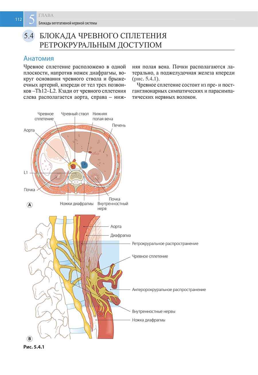 Пример страницы из книги "Атлас по инъекционным методам лечения боли"