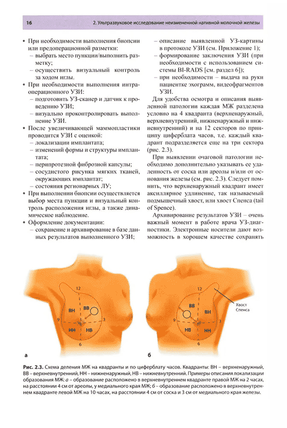 Схема деления МЖ на квадранты и по циферблату часов.