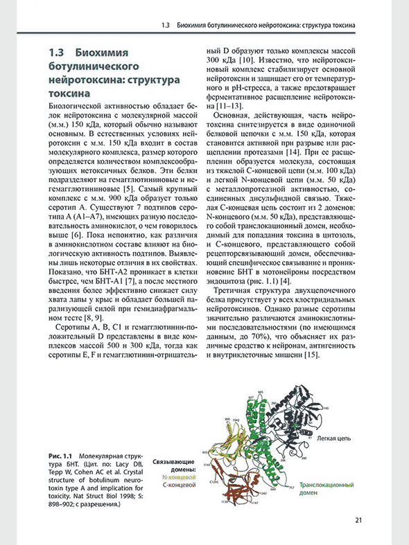Молекулярная структура Молекулярная структура