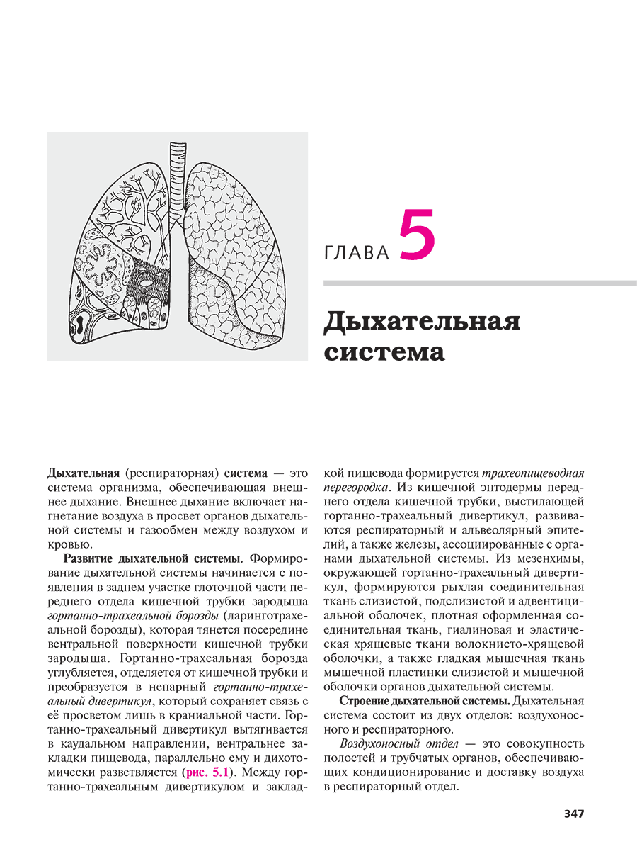 Пример страницы из книги "Функциональная морфология человека. Учебник в 3 томах. Том 1: Висцерология" 