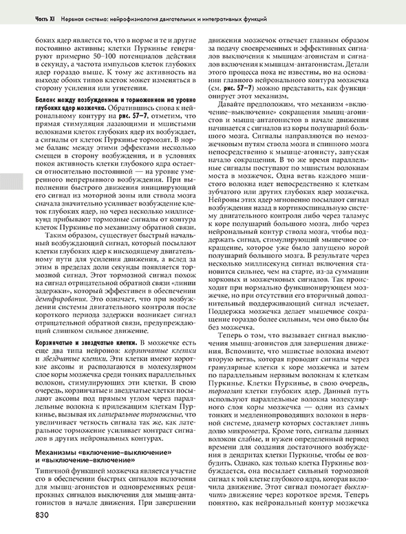 Пример страницы из книги "Медицинская физиология по Гайтону и Холлу" - Холл Джон Э., Холл Майкл Э.