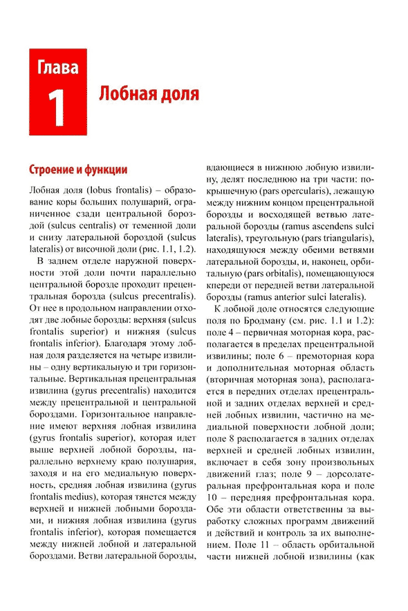 Пример страницы из книги "Нейропсихология в историях реальных больных" - С. Б. Буклина