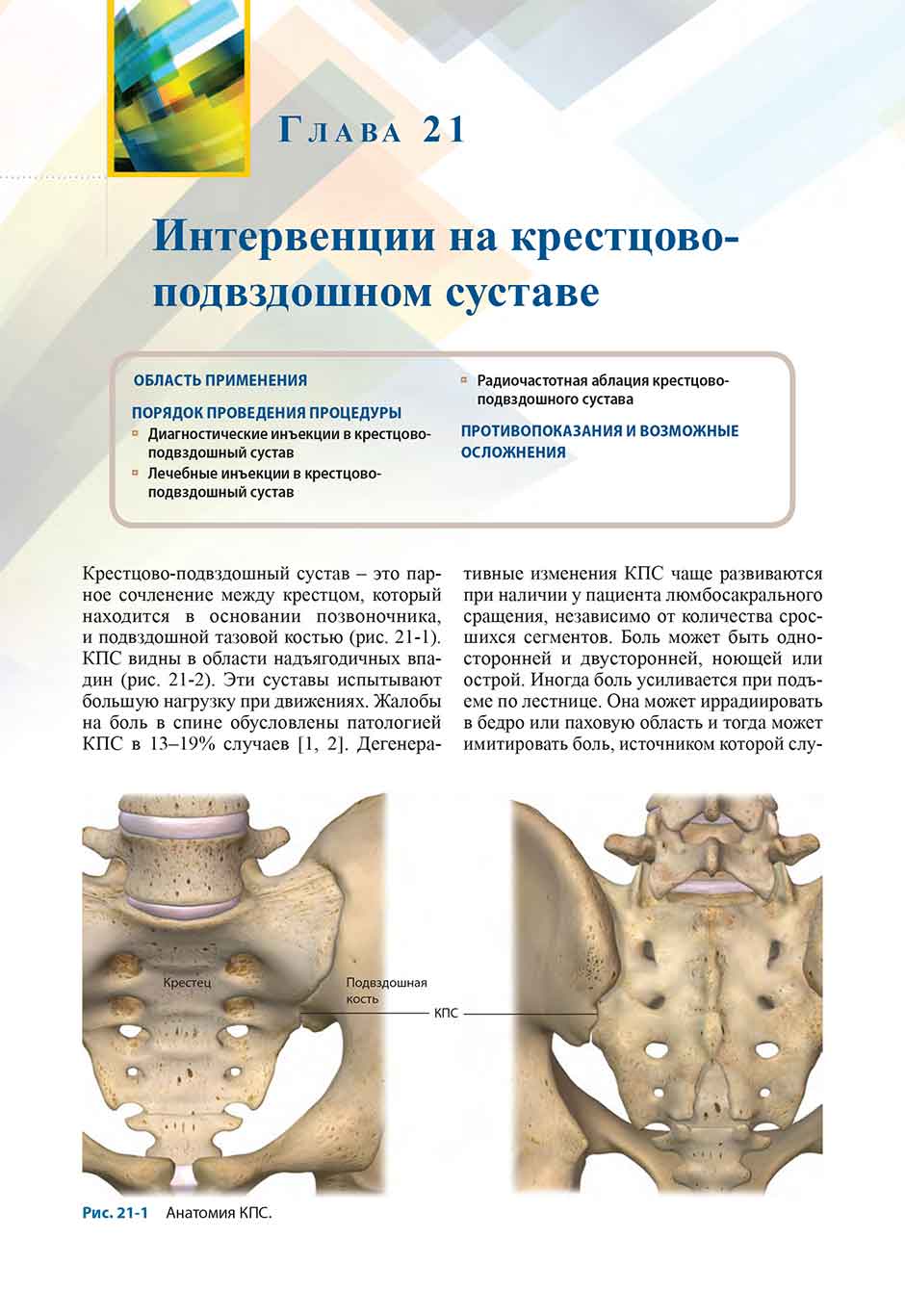 Рис. 21-1 Анатомия КПС.