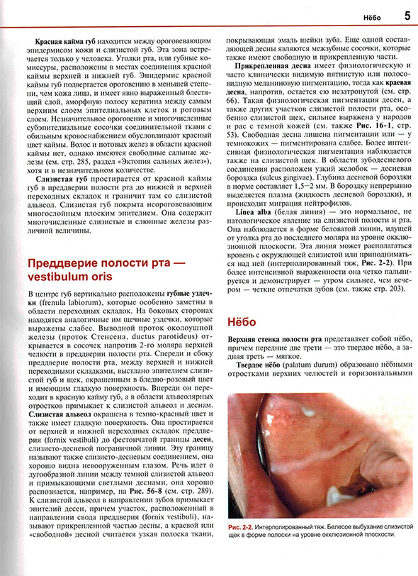 Пример страницы из книги "Болезни слизистой оболочки полости рта и губ" - Борк Конрад