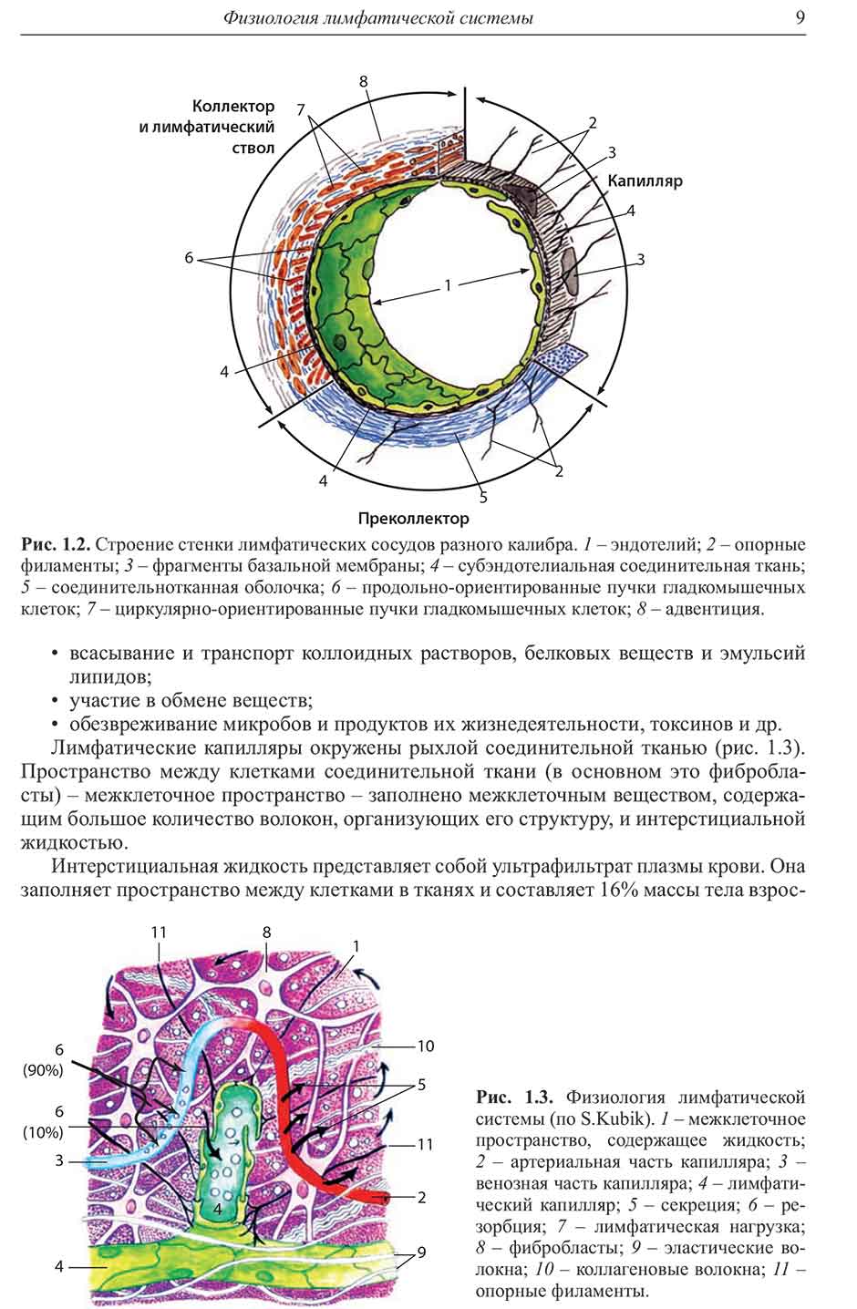 Рис. 1.3. Физиология лимфатической системы (по S.Kubik)