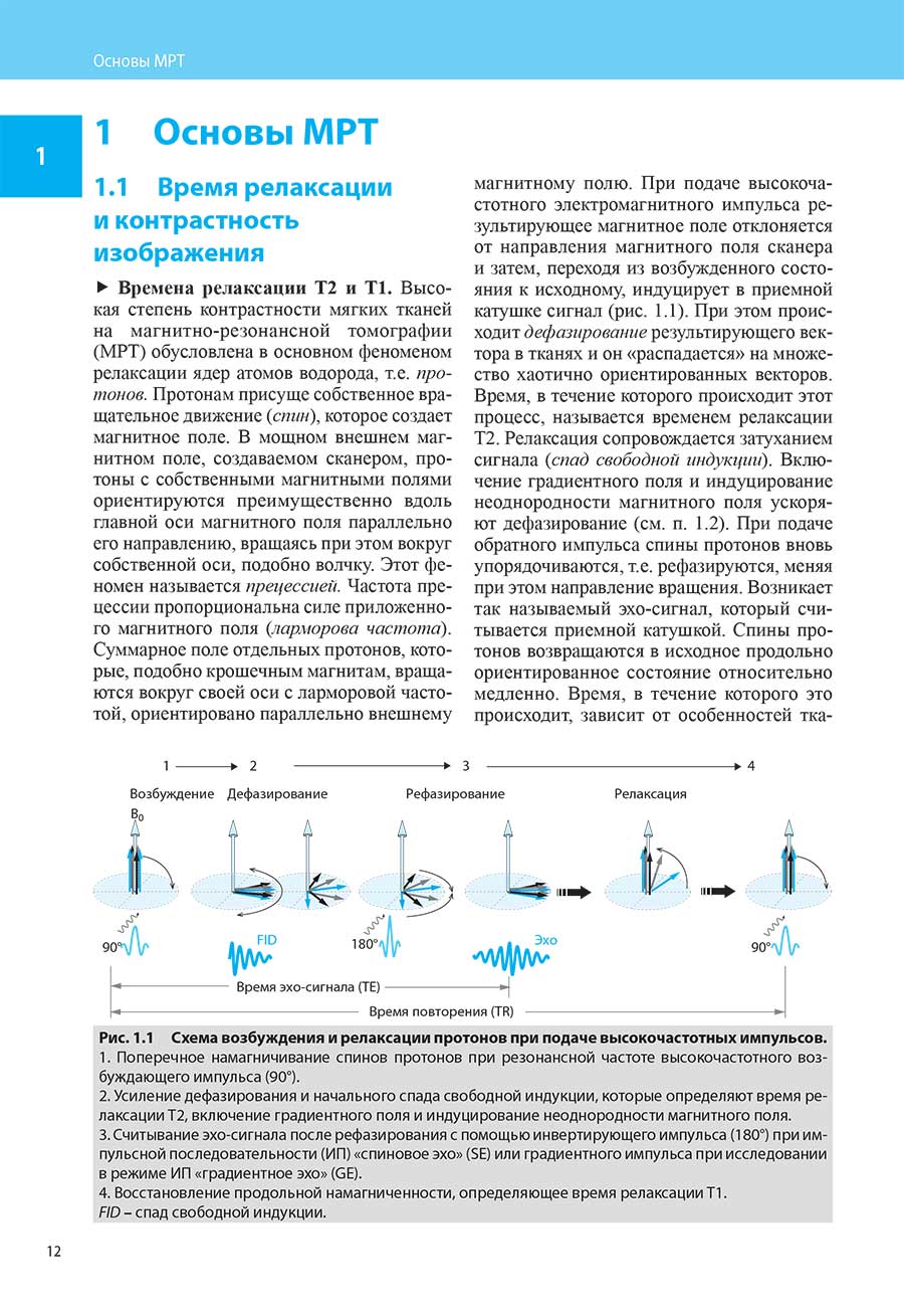 Рис. 1.1 Схема возбуждения и релаксации протонов при подаче высокочастотных импульсов