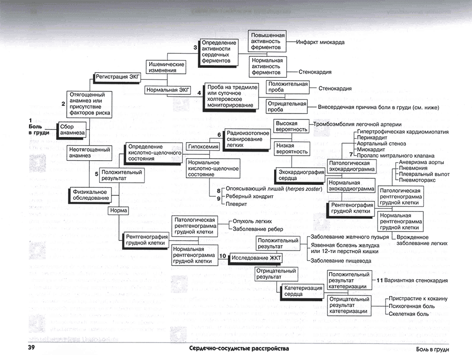 Пример страницы из книги "Дифференциальный диагноз внутренних болезней. Алгоритмический подход" - Хили Патриция М.