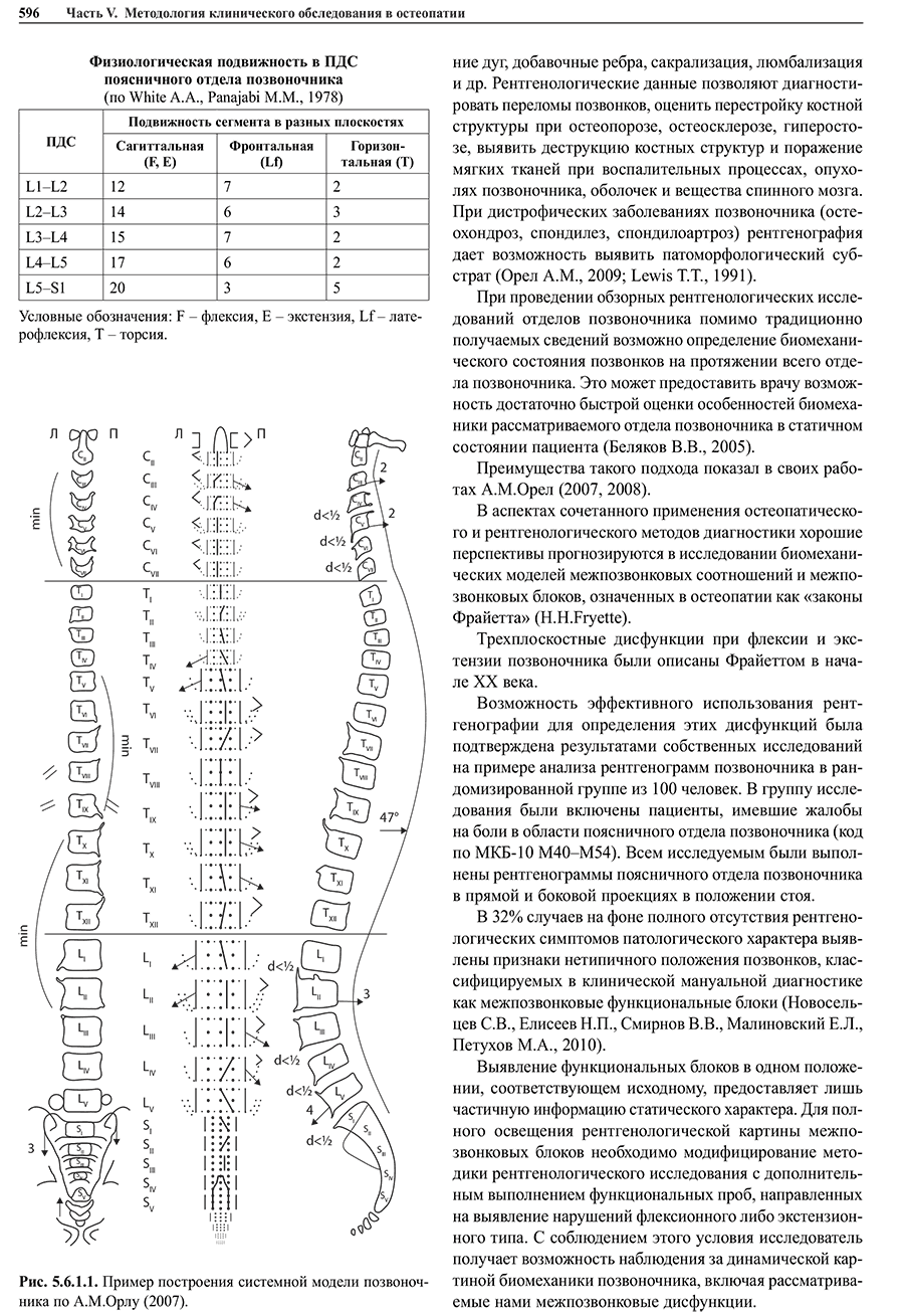 Рис. 5.6.1.1. Пример построения системной модели позвоночника но Л.М.Орлу 