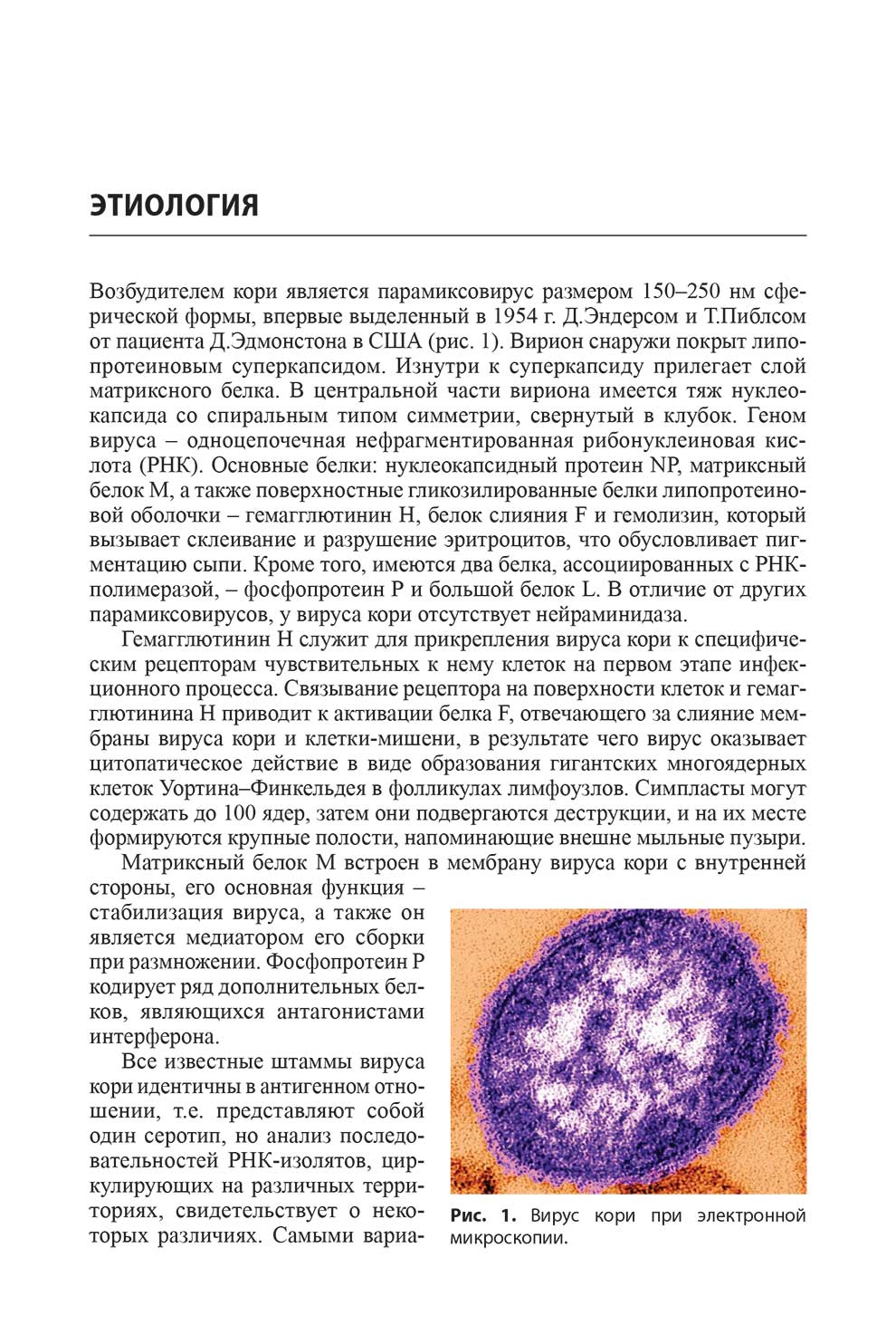Рис. 1. Вирус кори при электронной микроскопии.