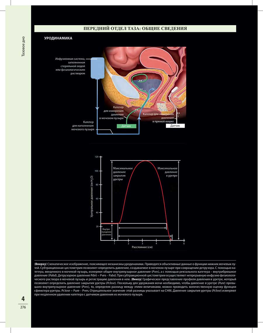 Пример страницы из книги  "Диагностическая визуализация в гинекологии: в трех томах" Том 3