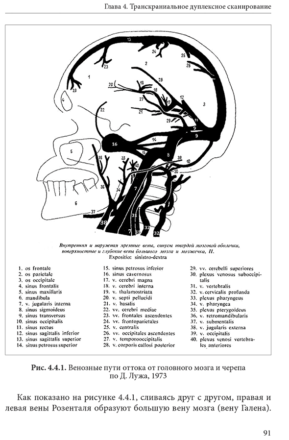 Венозные пути оттока от головного мозга и черепа по Д. Лужа, 1973