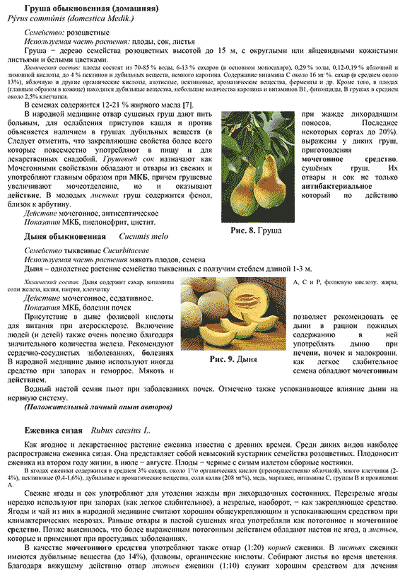 Пример страницы из книги "Фитотерапия мочекаменной болезни" - Скнар В. А., Абоян И. А., Ширанов К. А.