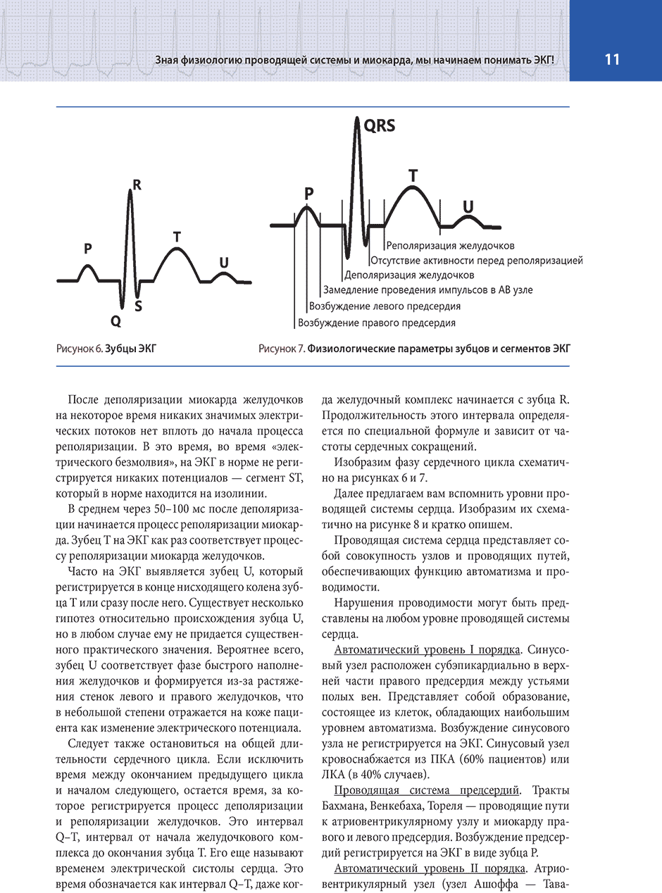 Рисунок 7. Физиологические параметры зубцов и сегментов ЭКГ