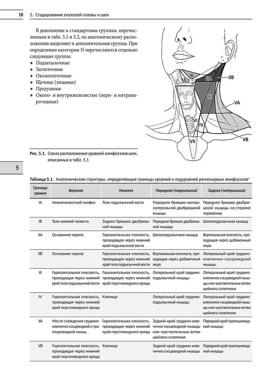 Таблица 5.1. Анатомические структуры, определяющие границы уровней и подуровней регионарных лимфоузлов