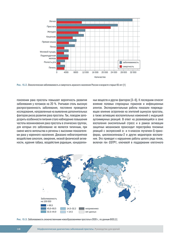 Онкологическая заболеваемость и смертность мужского населения России Онкологическая заболеваемость и смертность мужского населения России