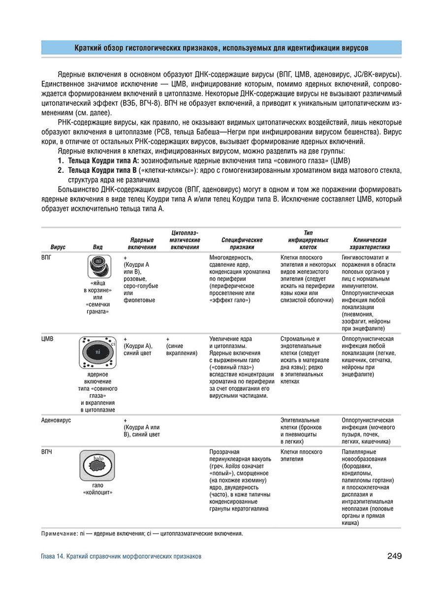 Краткий обзор гистологических признаков, используемых для идентификации вирусов