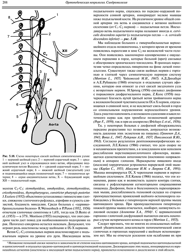 Схема некоторых связей шейных симпатических узлов.