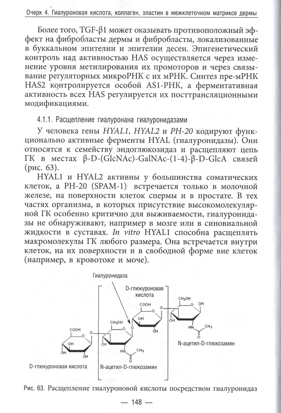 Рис. 63. Расщепление гиалуроновой кислоты посредством гиалуронидаз