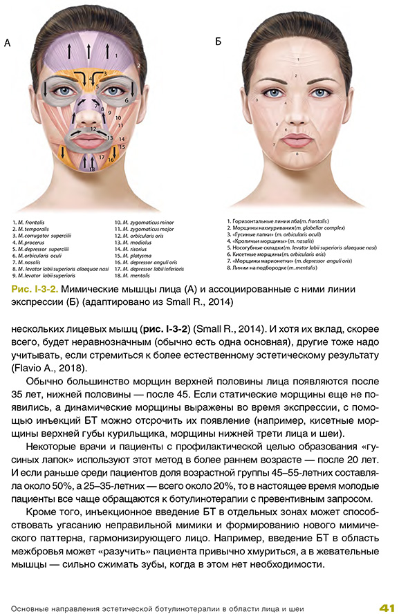 Мимические мышцы лица (А) и ассоциированные с ними линии