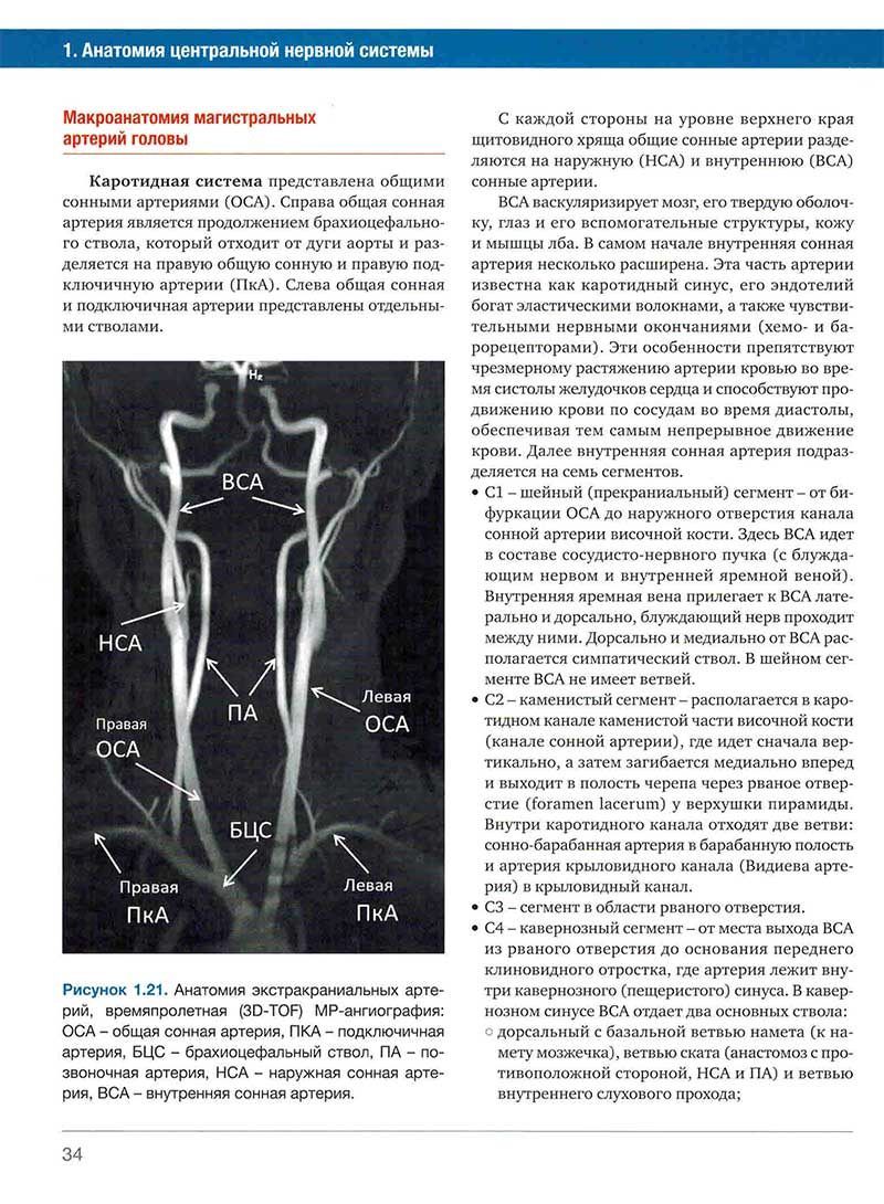 Рисунок 1.21. Анатомия экстракраниальных артерий. времяпролетная (3D-TOF) 